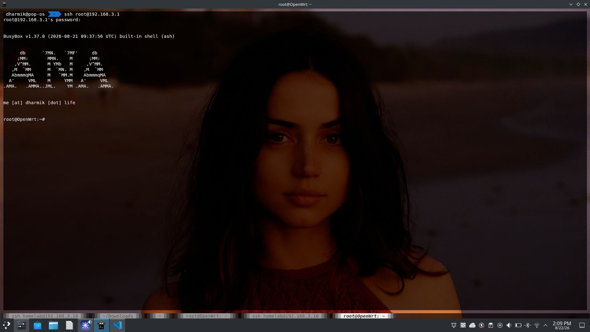 ana v1 terminal screenshot with my kitty wallpaper